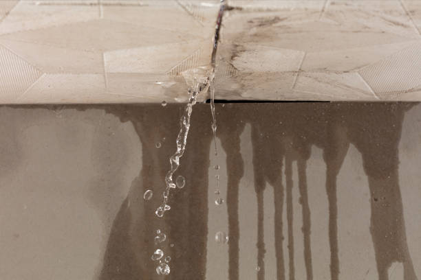 Professional Water Damage Restoration technician working in Allred, TN